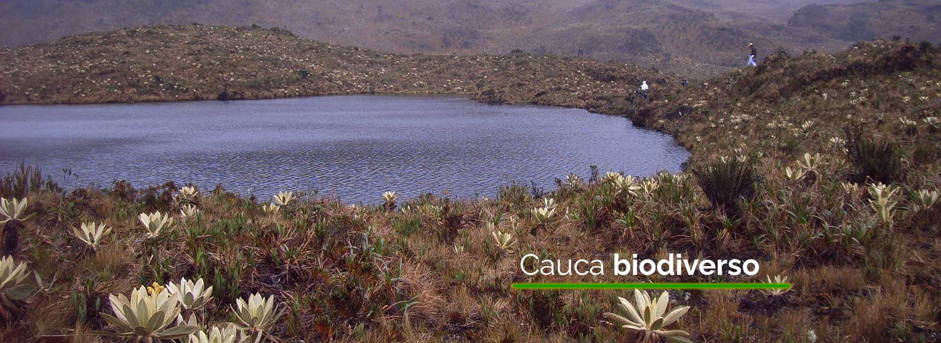Cauca biodiverso - Jorge Bastidas